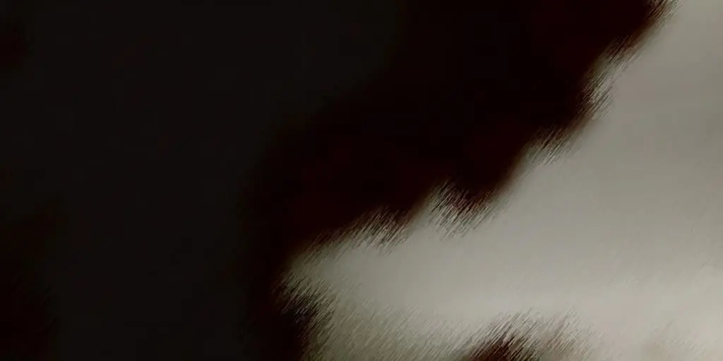 Namir and Saeed image from the Promises Project Film ‘Loved by Ghosts’
