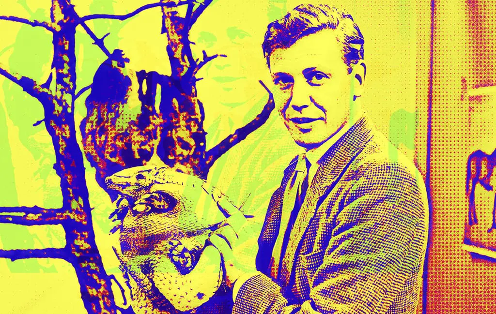 David Attenborough’s career began at the BBC in 1952