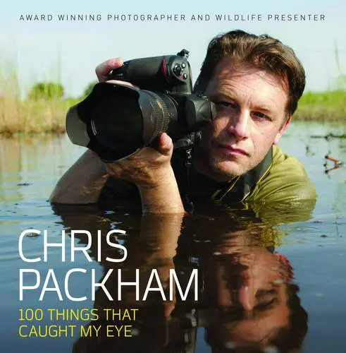 100 Things That Caught My Eye