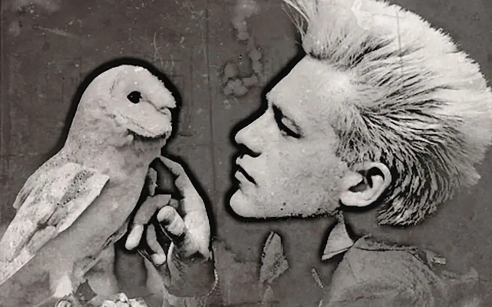 The Advocacy of Chris Packham