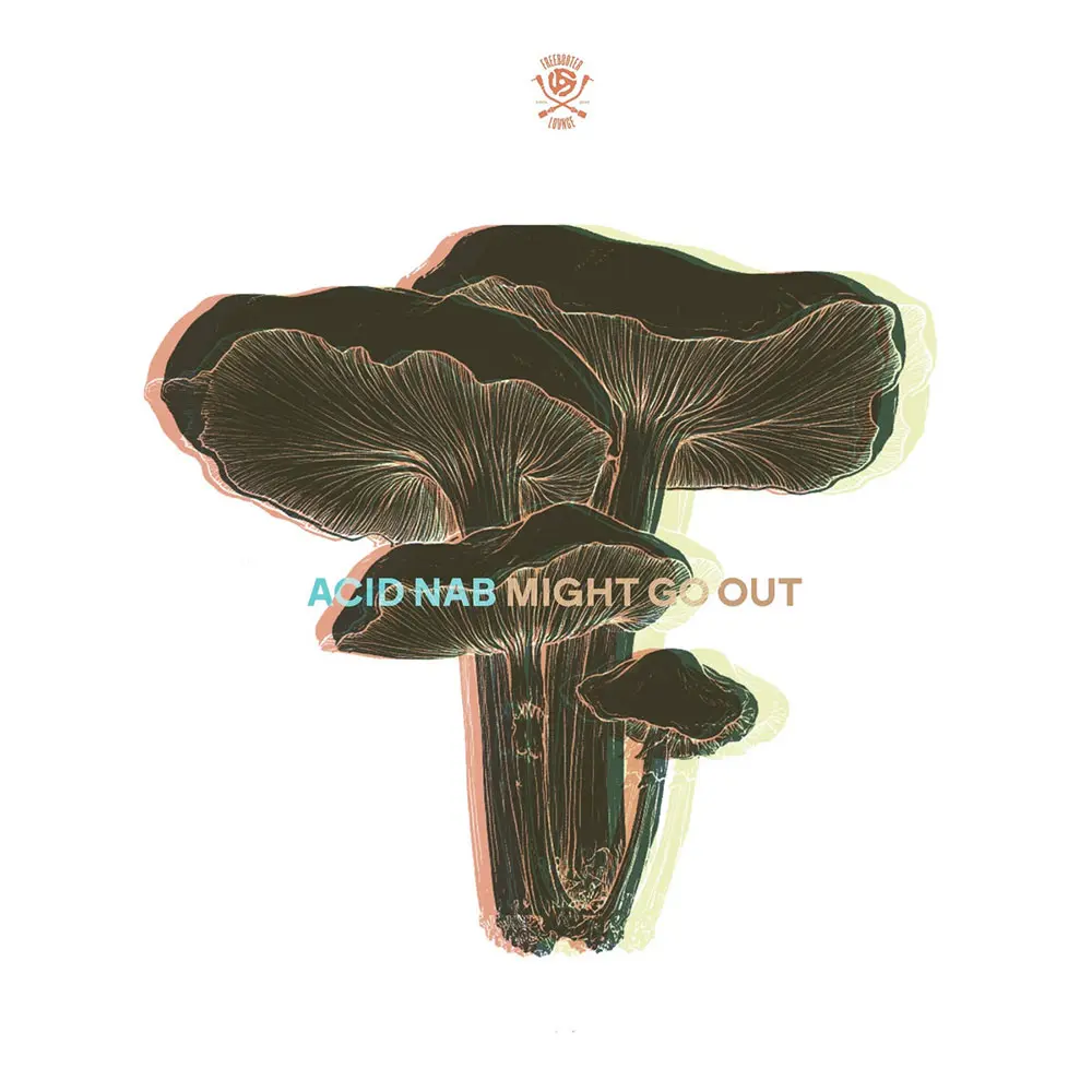 Acid Nab - Might Go Out  - Freebooter Lounge