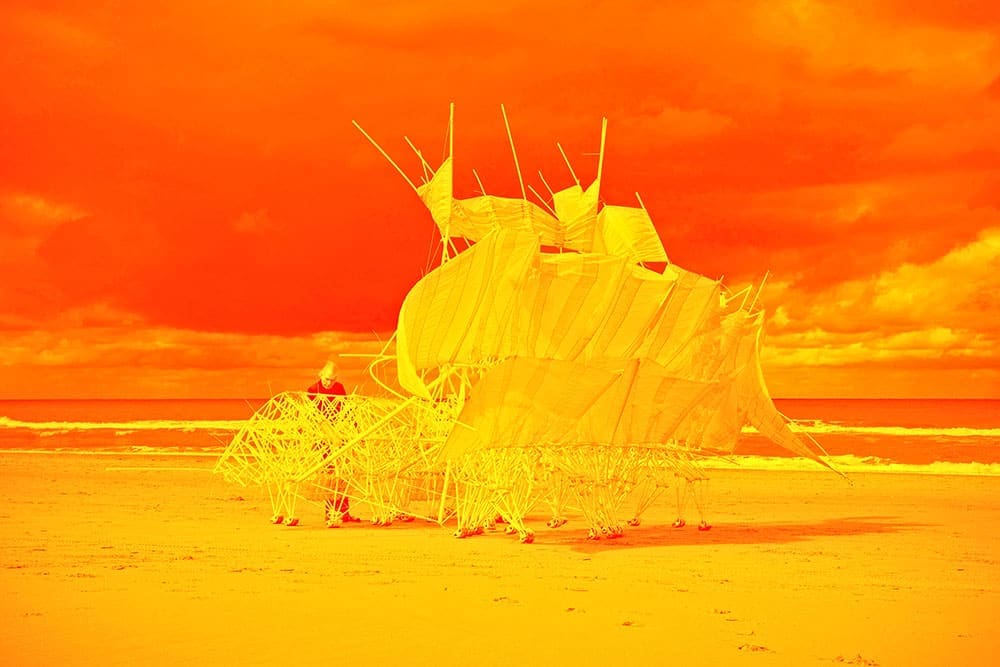 Theo Jansen's Strandbeests
