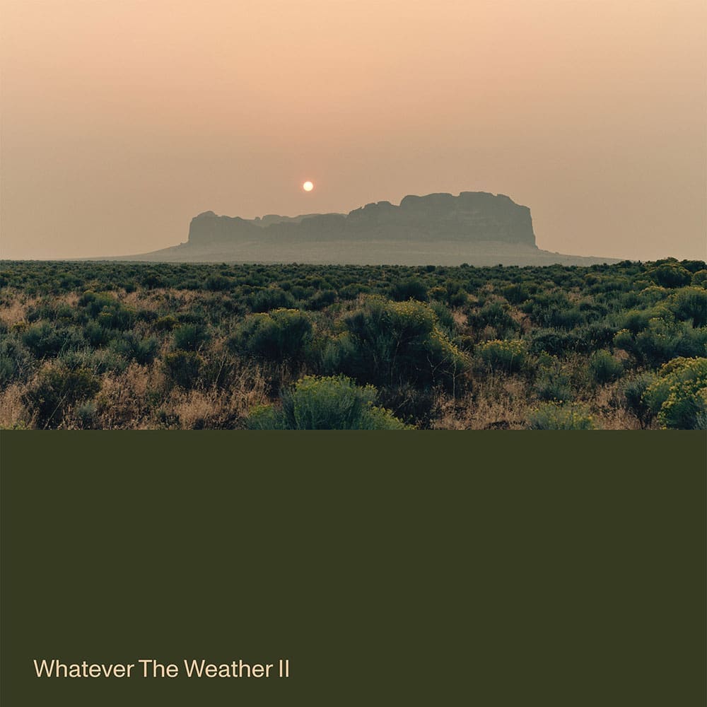 Whatever The Weather II on Ghostly International